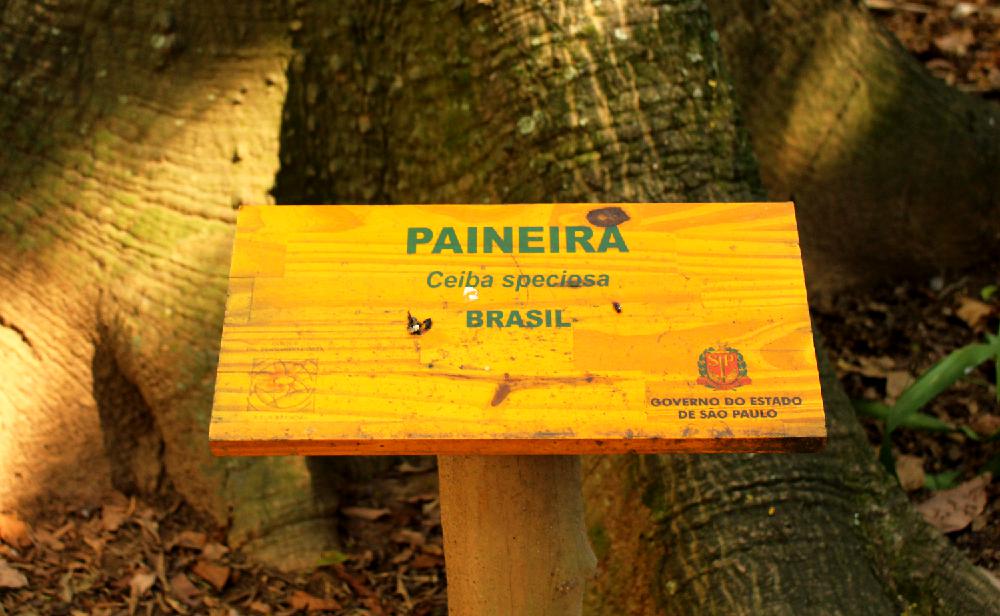 Além da Paineira, você encontrará outras espécies de árvores ao longo do passeio (Foto: La Viagem)