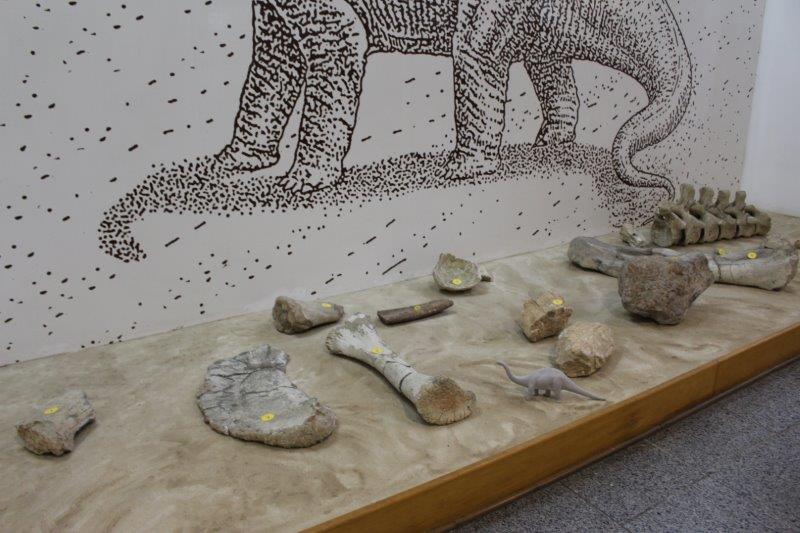 O Museu Geológico faz exposições sobre a era dos dinossauros (Foto: La Viagem)