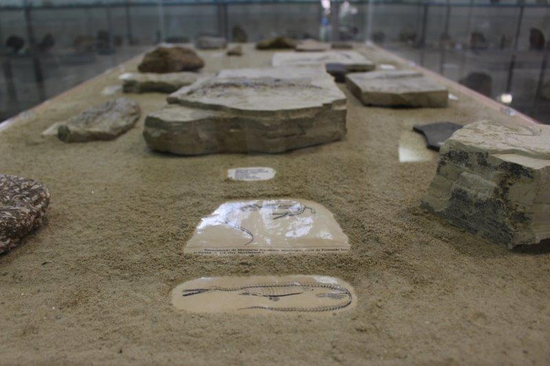 O Museu Geológico faz exposições sobre a era dos dinossauros (Foto: La Viagem)