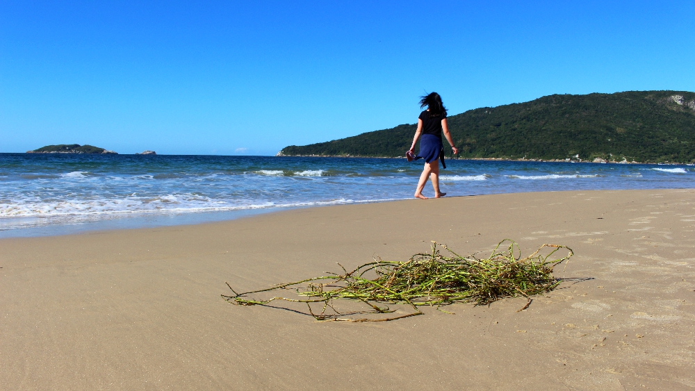 A Praia dos Ingleses, é um excelente destino para aproveitar um dia de sol em Florianópolis, no estado de Santa Catarina (Foto: La Viagem)