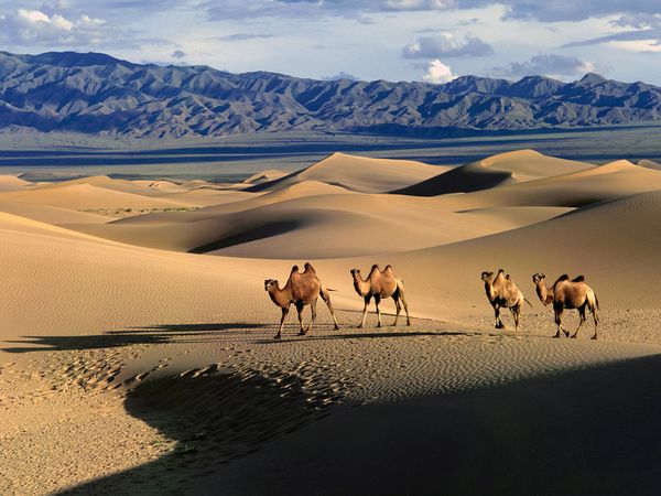 O deserto de Golbi está no trajeto da Volta ao Mundo de Trem da empresa Trains & Tours Lufthansa (Divulgação)