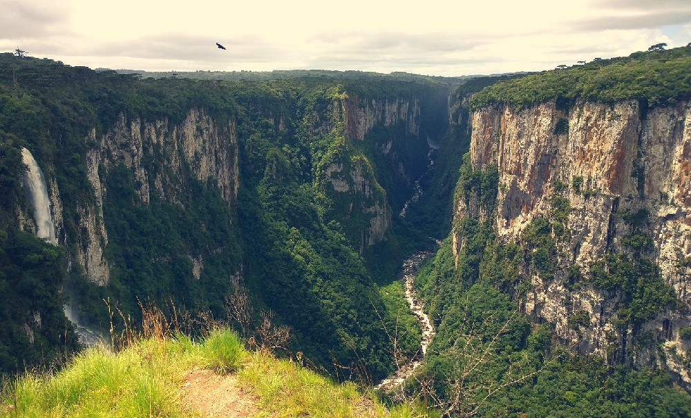O Parque Nacional de Aparados da Serra, em Santa Catarina, é perfeito para você que quer admirar a bela vista do Cânion do Itaimbezinho. (Divulgação / Internet)