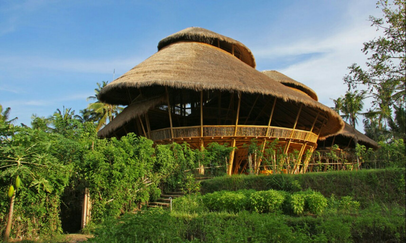 A construção da Green School, foi feita em formato de espirais e erguida totalmente por bambus, uma espécie de planta em abundância na ilha. (Divulgação / Green School)