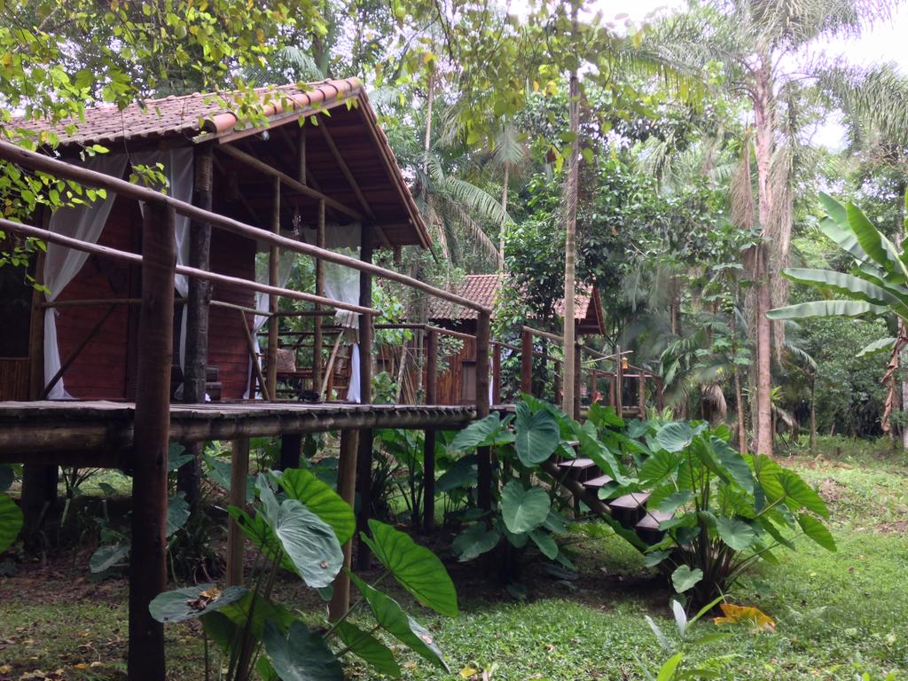Glamping Mangarito, na cidade de Iporanga, próximo ao PETAR. Uma hospedagem com imersão na natureza e simplicidade. (Divulgação/Internet)