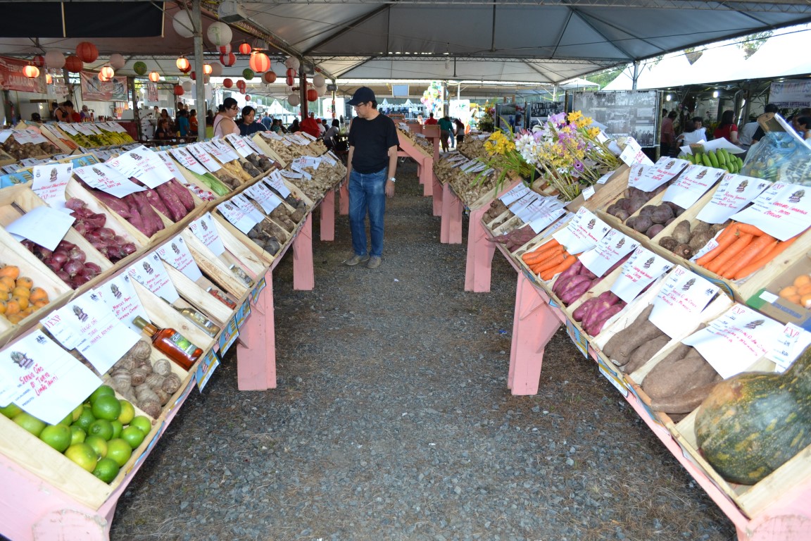 A Festa do Gengibre acontece na cidade de Tapirai no interior de São Paulo. (Divulgação / Internet)