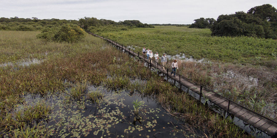 Ao visitar a Pousada Araras você participa diretamente nos programas e projetos de Preservação Ambiental, localizada no Mato Grosso (Divulgação/Internet)