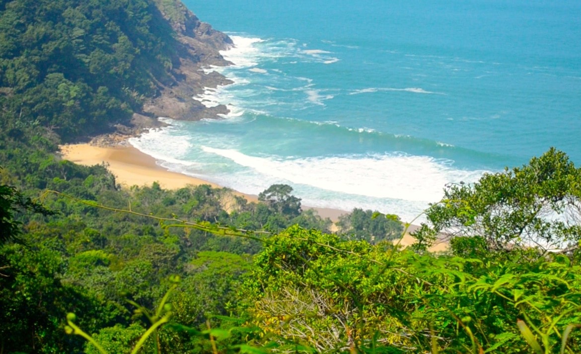 A Praia Brava é um santuário do surf , trilhas e natureza (Divulação/Internet)