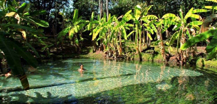 Entre dunas, piscinas naturais aquecidas e areais movediças, o Jalapão encanta qualquer um que visitar (Divulgação / Foto: Viagem em Pauta)