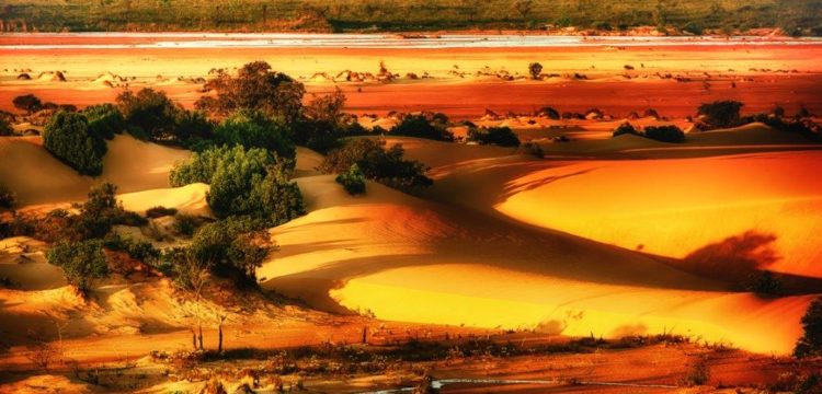 Entre dunas, piscinas naturais aquecidas e areais movediças, o Jalapão encanta qualquer um que visitar (Divulgação / Foto: Rentcars)