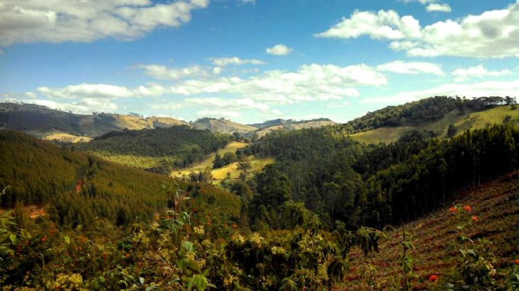 Monte Verde: O Destino Romântico e Aventureiro na Serra da Mantiqueira