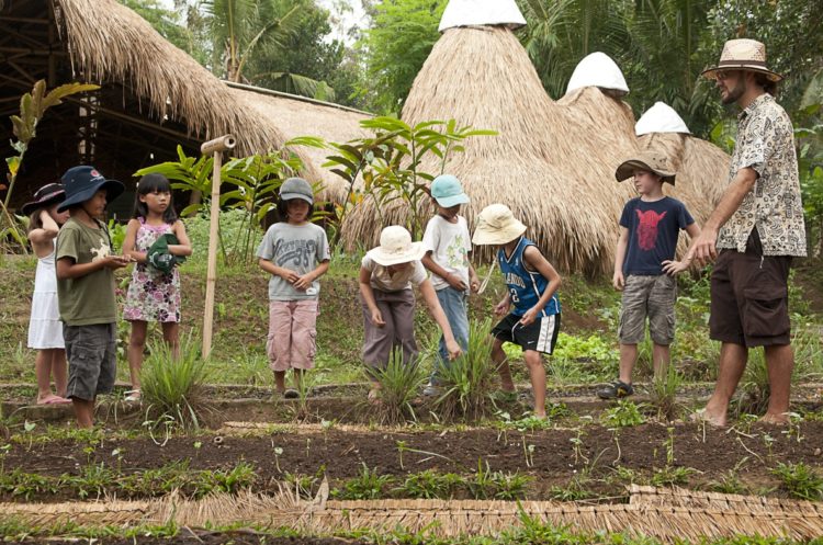 Green School: Conheça a escola mais Verde e Sustentável do Mundo