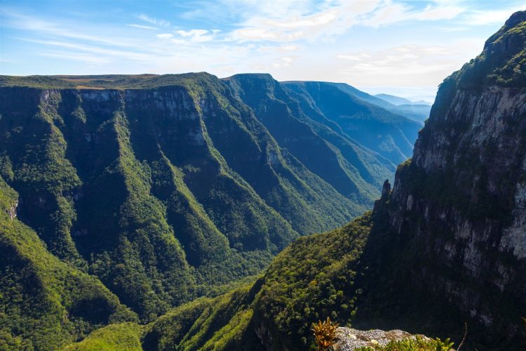 Cambará do Sul: Conheça os Cânions mais Impressionantes do Brasil e Prepare sua Viagem